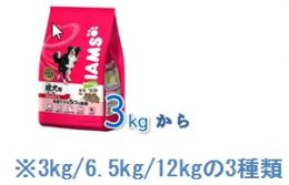 アイムス 成犬用(ラム&ライス)(3/6.5/12kg)